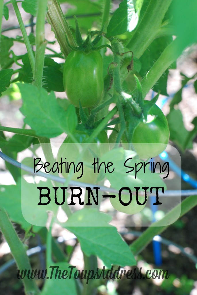 Beating the Spring Burn-out