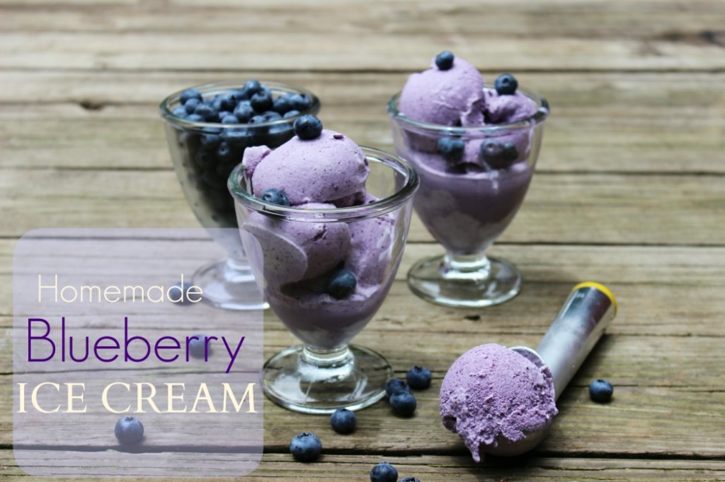 blueberry ice cream 025-1