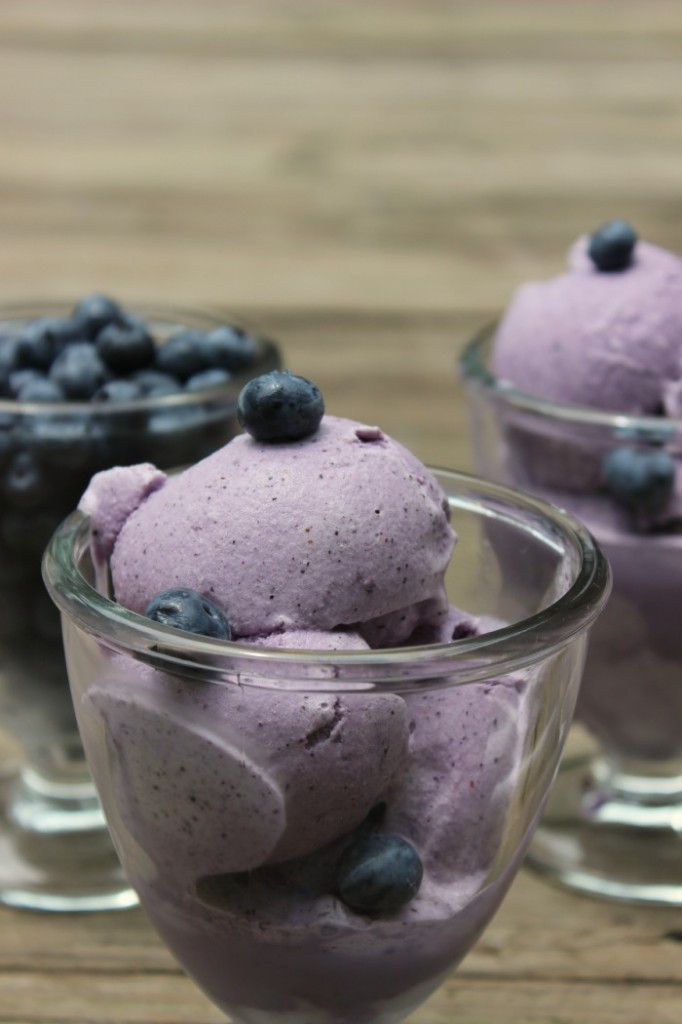 blueberry ice cream 036