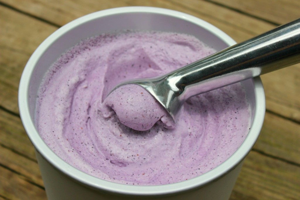 blueberry ice cream 061