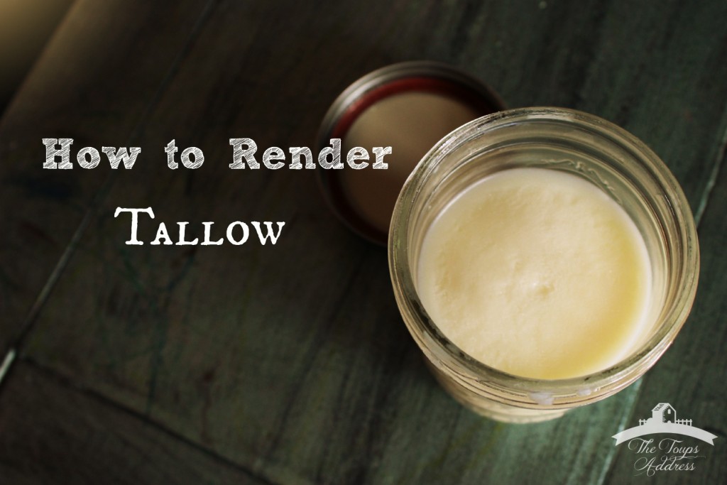 How to Render Tallow (the easy way)- The Toups Address