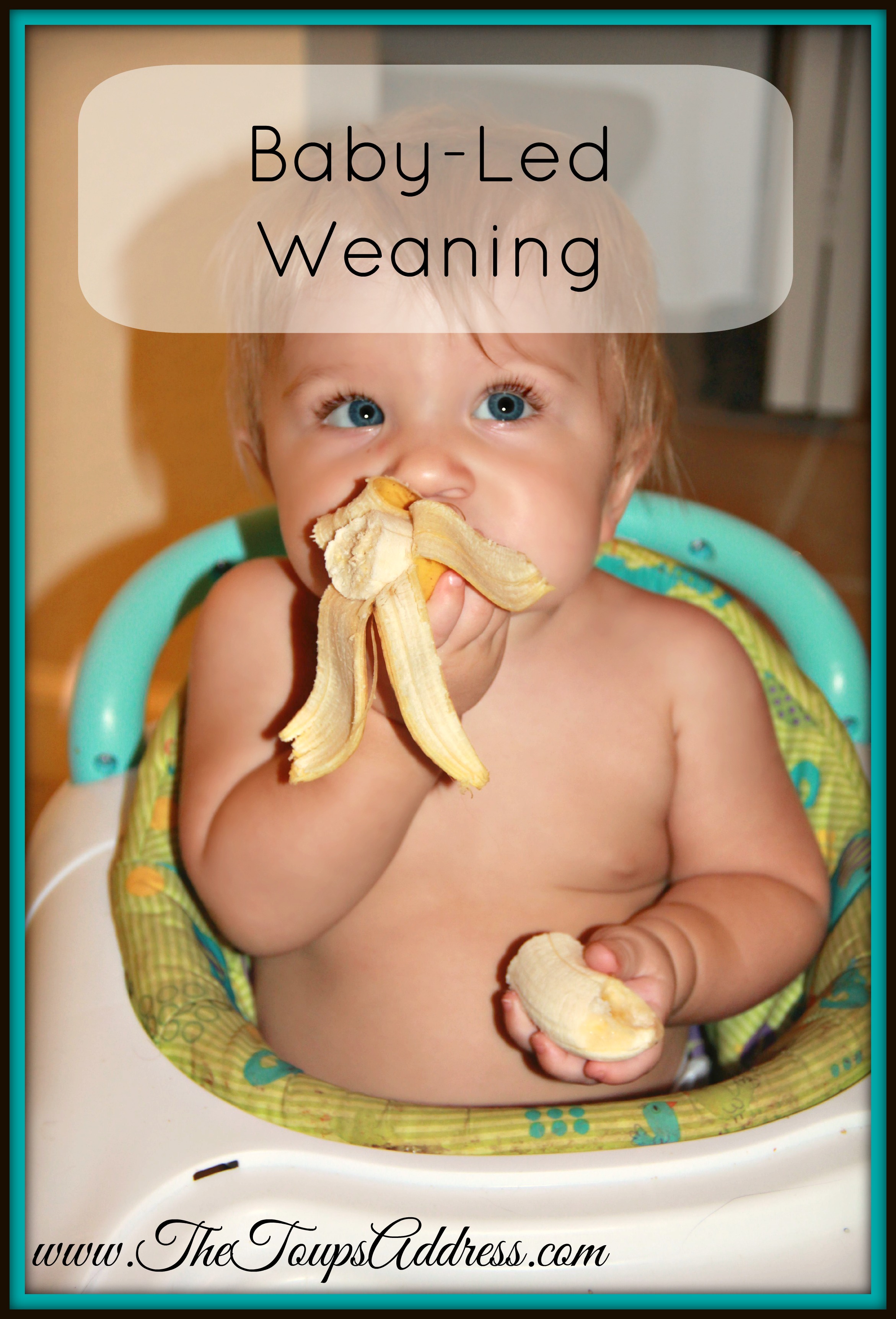 Baby Led Weaning - The Toups Address