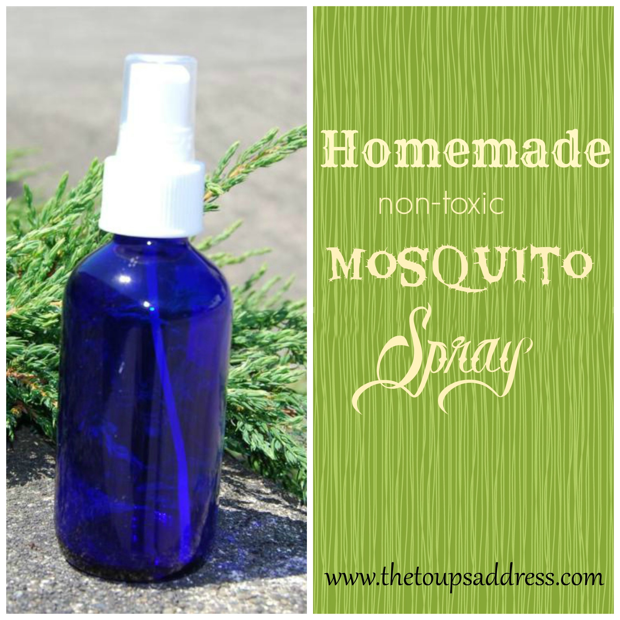 Homemade Mosquito Spray - The Toups Address