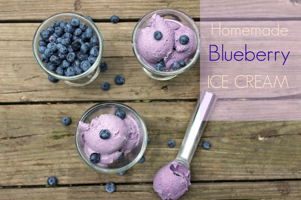 Homemade Blueberry Ice Cream